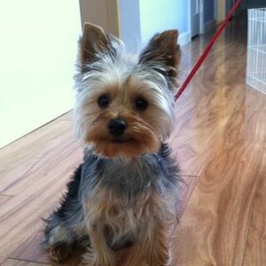 Meet your Posher, Nidia